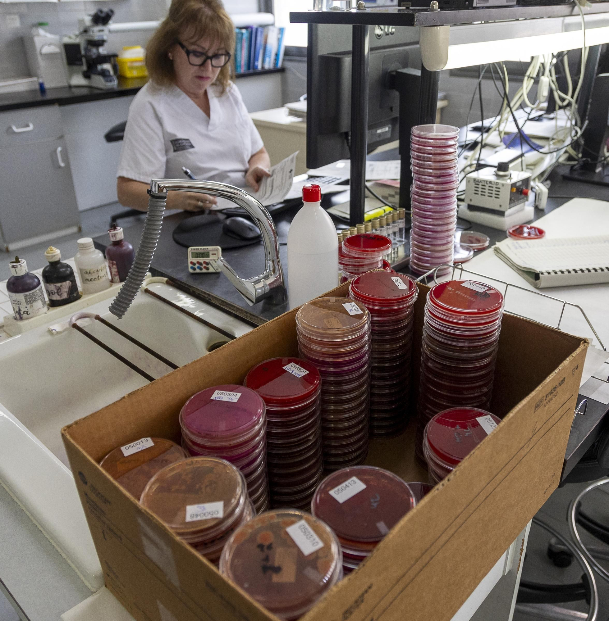 Protocolo para optimizar la respuesta rápida en código sepsis en Alicante