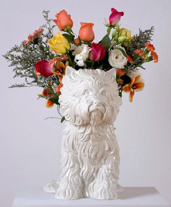 ¿Florero o mascota?