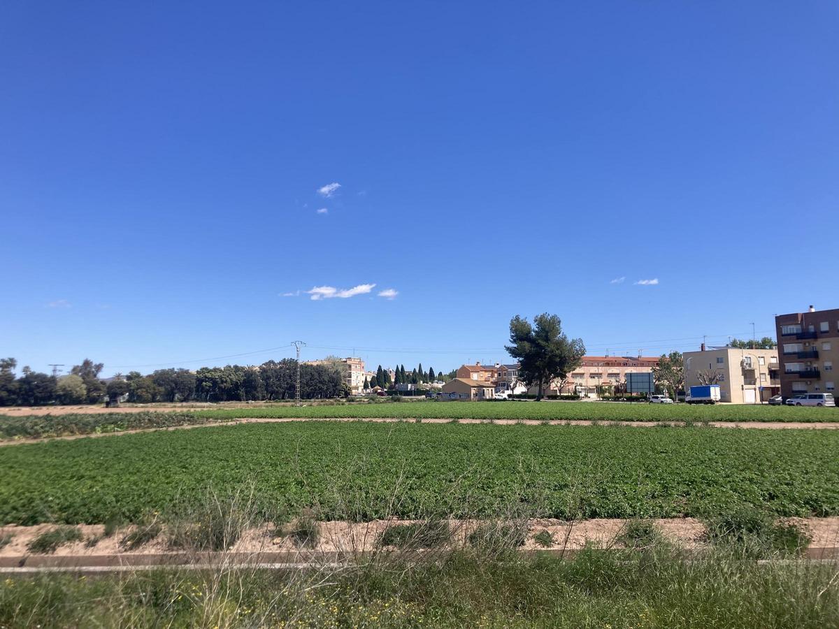 Actuales terrenos ocupados por huerta.