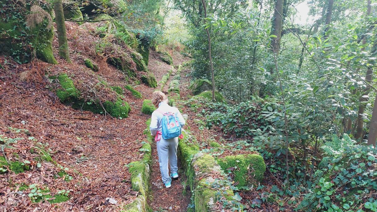 Vista del Parque Natural del Monte Aloia en otoño de 2022.