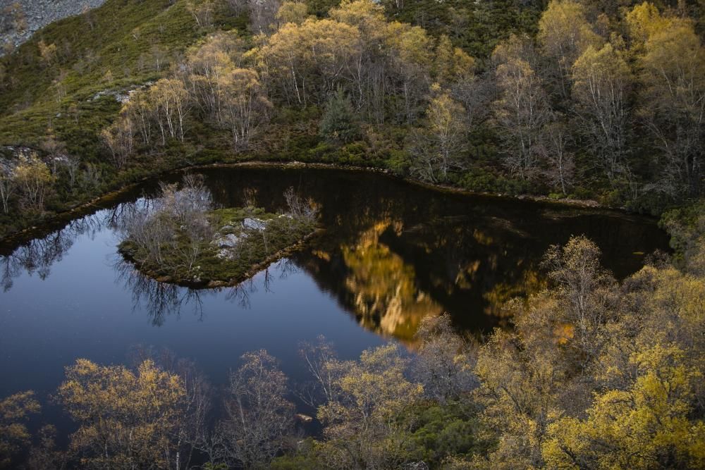 La reserva natural de Muniellos en otoño