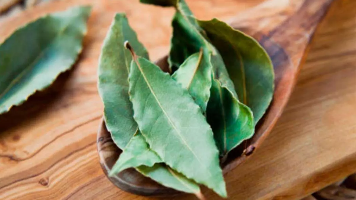 Una hoja del laurel en la nevera: el remedio de la abuela con el que terminarás para siempre con el gran problema de tu cocina