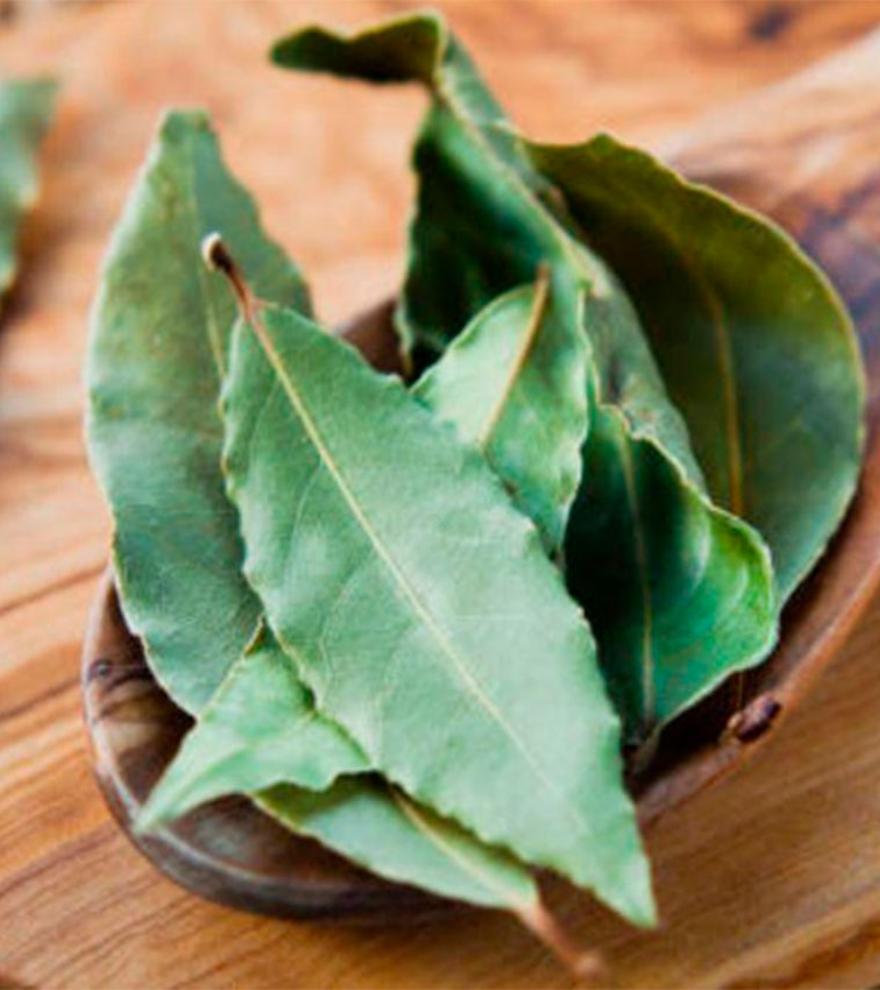 Una hoja del laurel en la nevera: el remedio de la abuela con el que terminarás para siempre con el gran problema de tu cocina