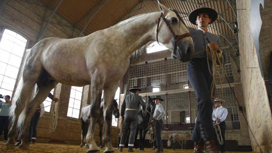 El Ayuntamiento negociará el futuro de Caballerizas otra vez