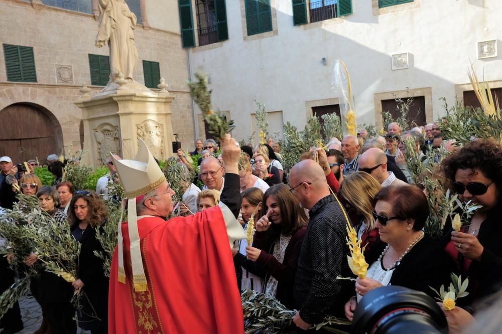 Procesión del Domingo de Ramos en Palma