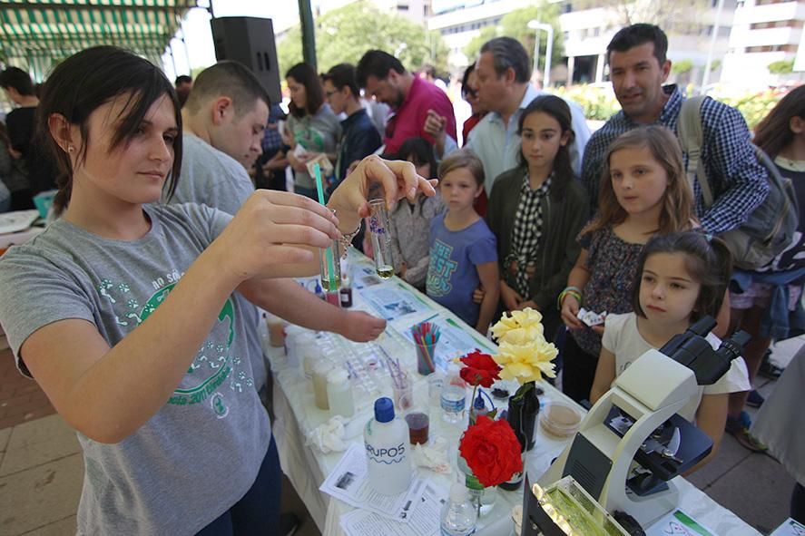 Fotogalería / El 'Paseo de la Ciencia', el Vial Norte de Córdoba