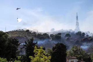 Incendio forestal en el Parque Natural de Collserola
