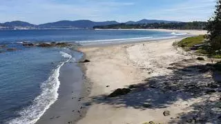¿Por qué los ecologistas han dado una ‘bandera negra’ a una playa para perros?