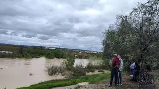 Tres familias desalojadas en Palma del Río mientras se espera una nueva crecida del Guadalquivir