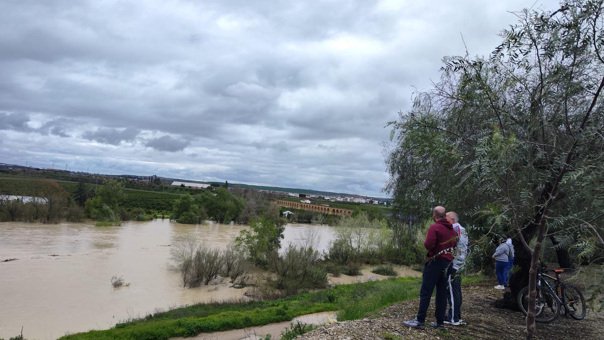 La crecida del Genil en Palma del Río