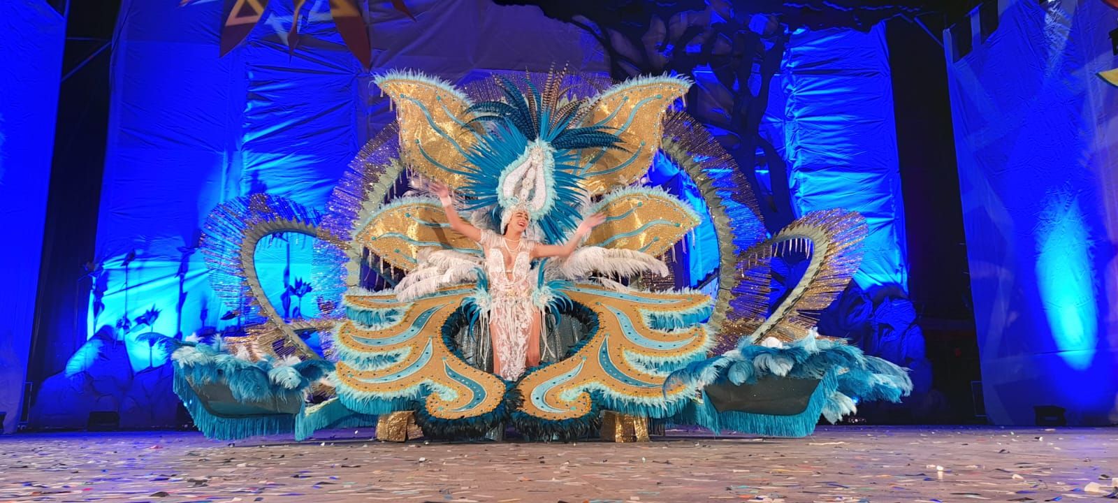 Carnaval de Vinaròs 2023: Los espectaculares trajes de las 30 reinas y el rey