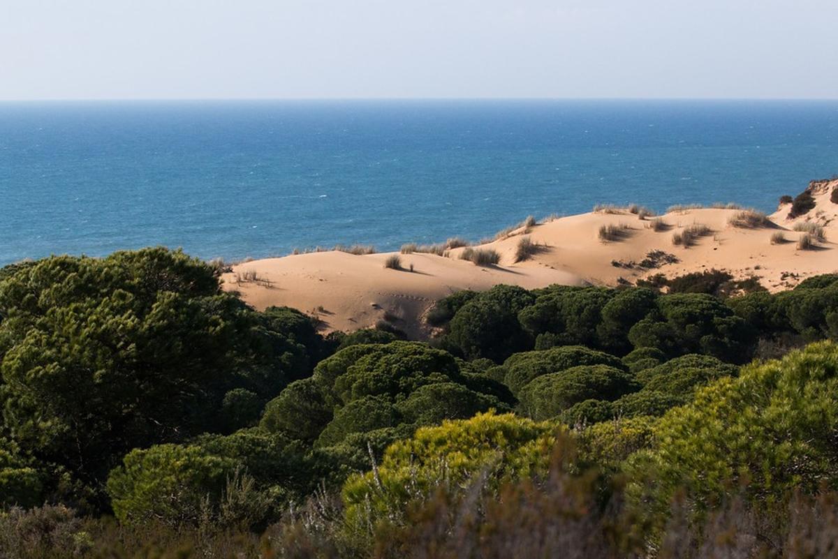 Esta es la ciudad andaluza que tiene la playa más larga de toda España