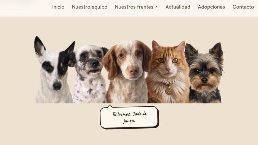 La giudice che indaga sull'ingresso massivo a Ceuta ammette come accusa un'associazione "diretta" da quattro cani e un gatto