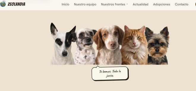 La jueza que investiga la entrada masiva en Ceuta admite como acusación a una asociación "dirigida" por cuatro perros y un gato