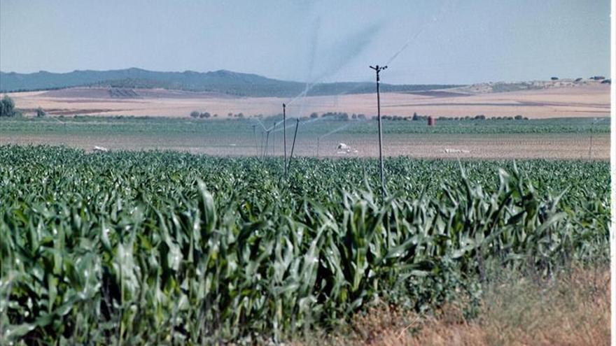 La agricultura de regadío, a la palestra en épocas de sequía