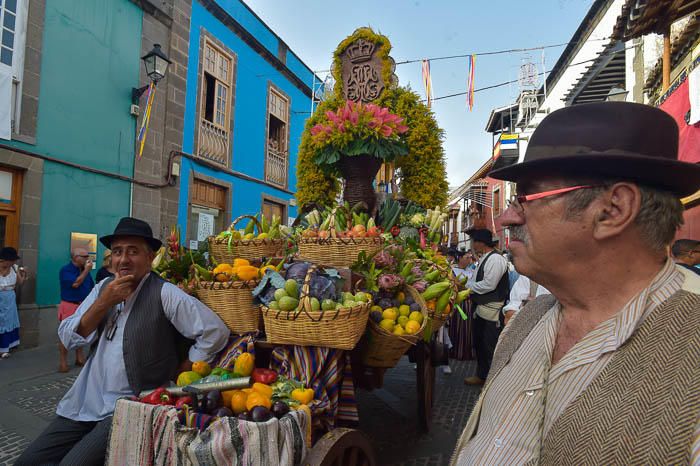 Carretas y grupos en la romería del Pino