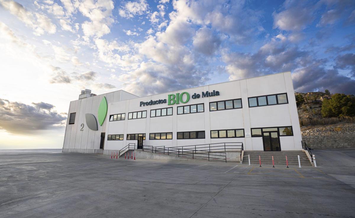 Instalaciones de la cooperativa muleña, que produce anualmente cerca de 60 millones de kilos de fruta y cítricos.