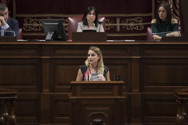 19/01/2017.CANARIAS.Pleno del Parlamento de Canarias..Fotos: Carsten W. Lauritsen