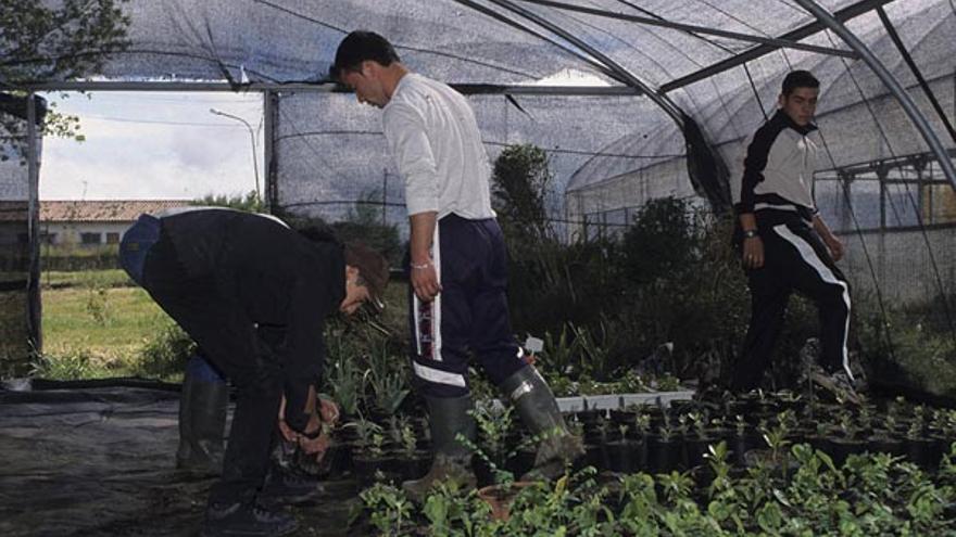 Agricultura reparte 10,7 millones entre 395 municipios extremeños