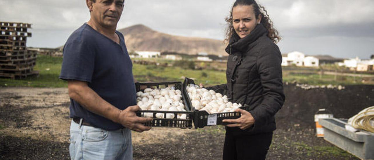 Los hermanos Kike y Begoña Hernández, ayer con sus champiñones.