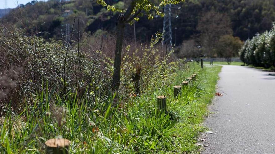 Retiran las vallas del paseo fluvial entre La Felguera y Lada