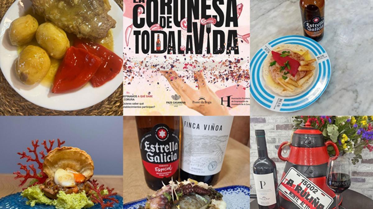 Finalistas de la III Ruta CTV