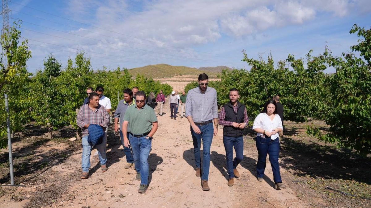 José Ángel Antelo, en su visita a Jumilla con motivo de los daños provocados por el granizo.