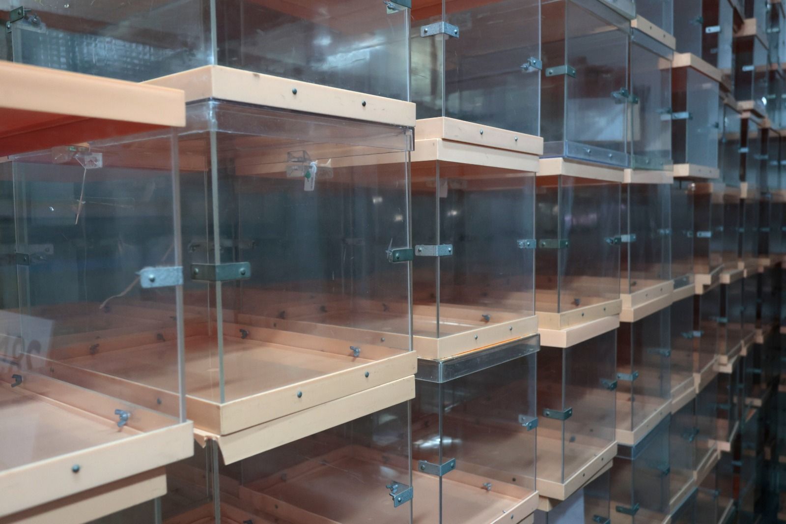 Dispositivo de preparación para el 28M en el almacén electoral de Delegación de Gobierno