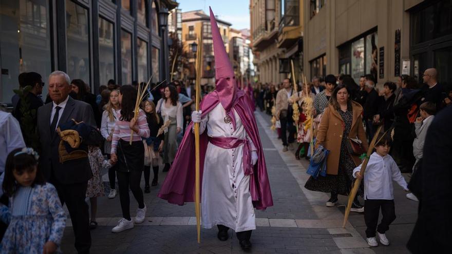 Semana Santa Zamora 2024: hora y recorrido de la procesión de &quot;La Borriquita&quot;