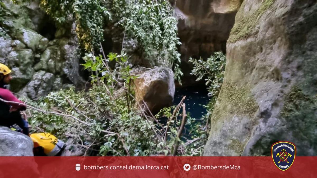 El cauce del torrente está lleno de ramas y árboles desprendidos.