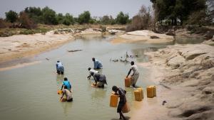 El cambio climático causará 4 millones de muertos en 2024