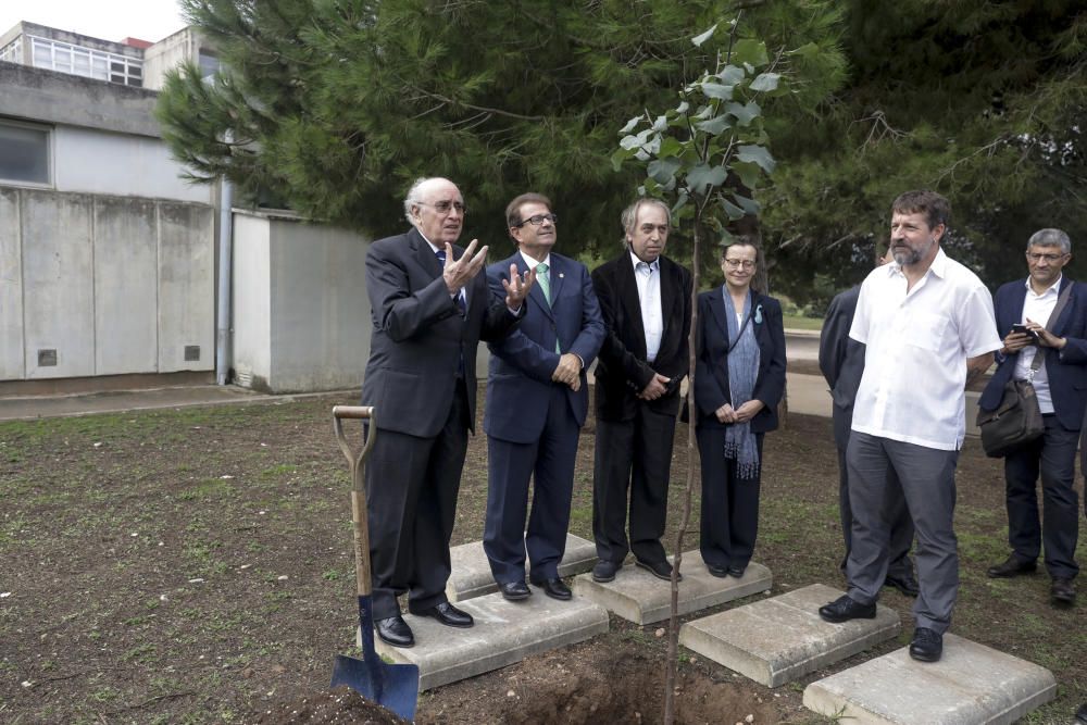 Joan Veny, doctor honoris causa de la UIB