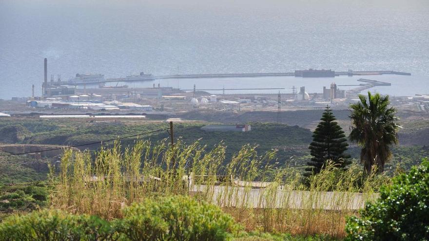 Arico Residents Oppose Port of Granadilla Expansion Plans
