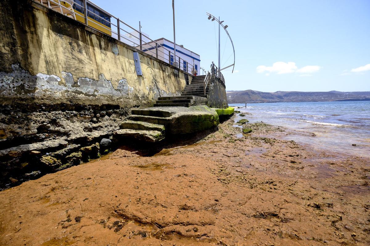 Las capas fósiles de Las Canteras, al descubierto