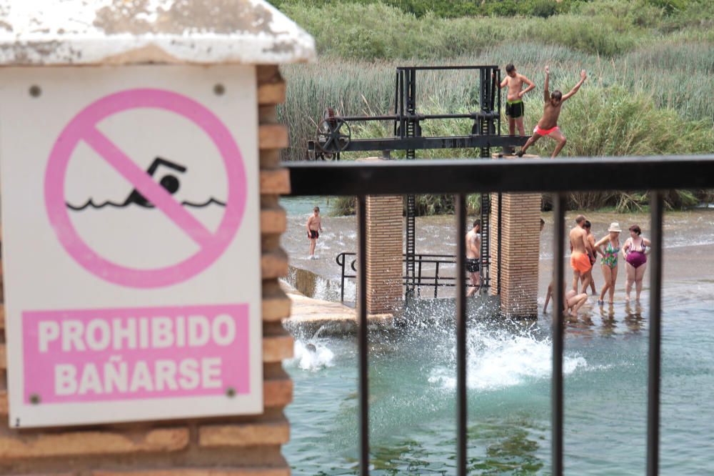 Los bañistas acuden al Assut d'Antella aunque el baño está prohibido