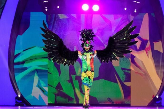 Carnaval 2019 | Concurso de Maquillaje Corporal del Carnaval de Las Palmas de Gran Canaria