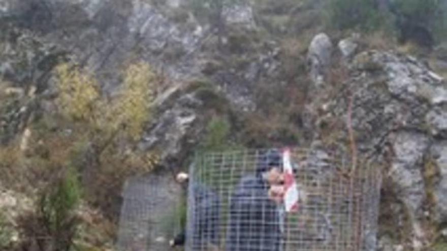 Más vida para la Cueva del Agua