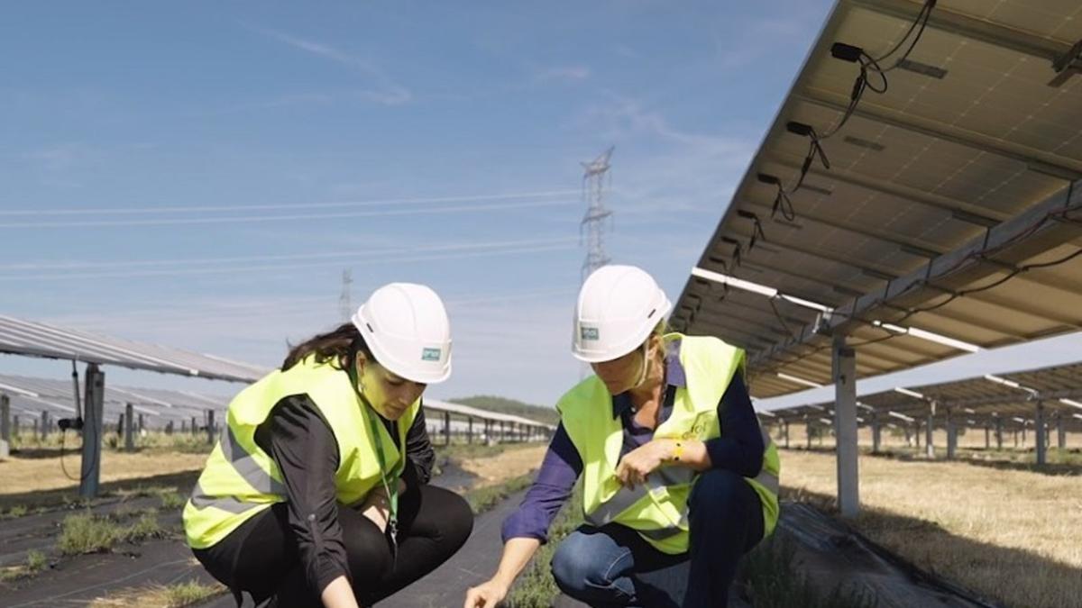 El 26% de la potencia fotovoltaica de España se genera en Extremadura.