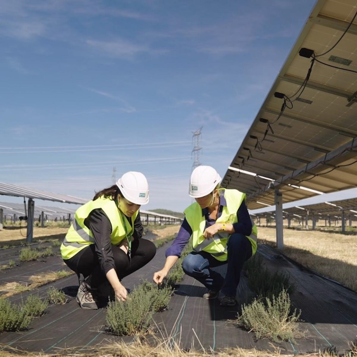 El 26% de la potencia fotovoltaica de España se genera en Extremadura.