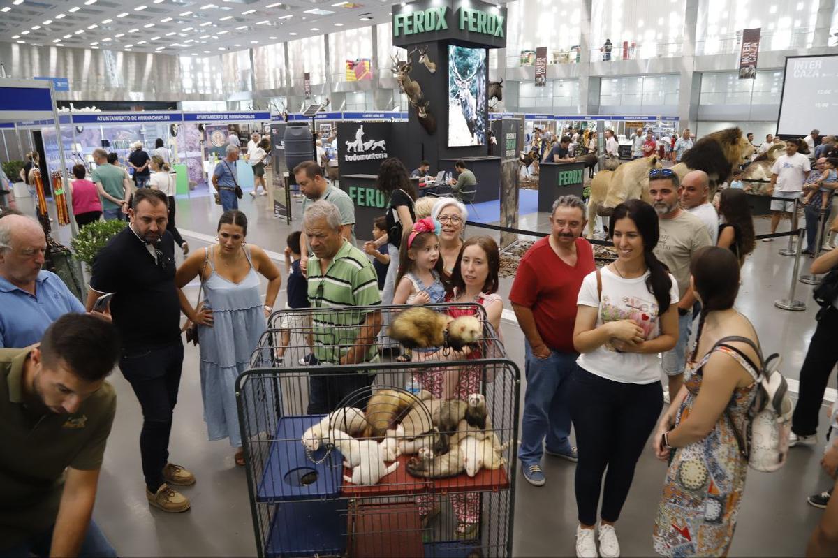 La feria Intercaza 2025, en imágenes