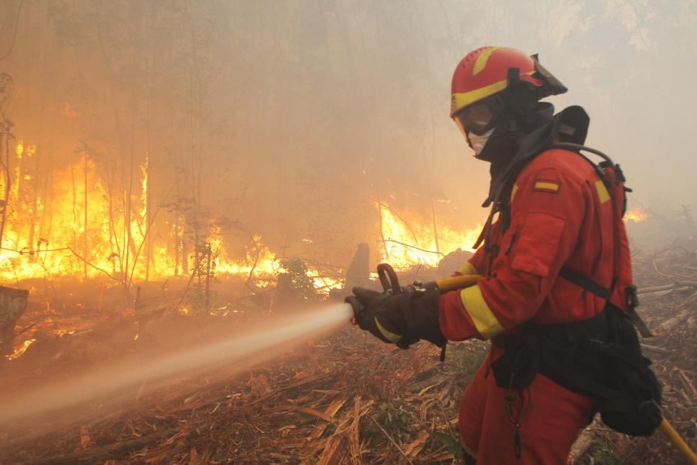 La ola de incendios forestales alcanzan a Santiago