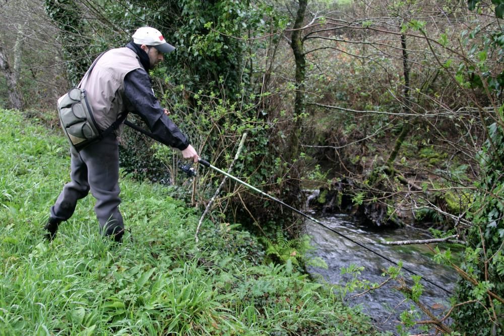 Pescadores tentando las truchas en un río de A Estrada