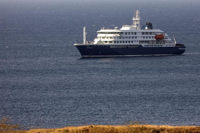 ¿Cómo se contagia el hantavirus? Este gráfico explica cómo se transmite el virus