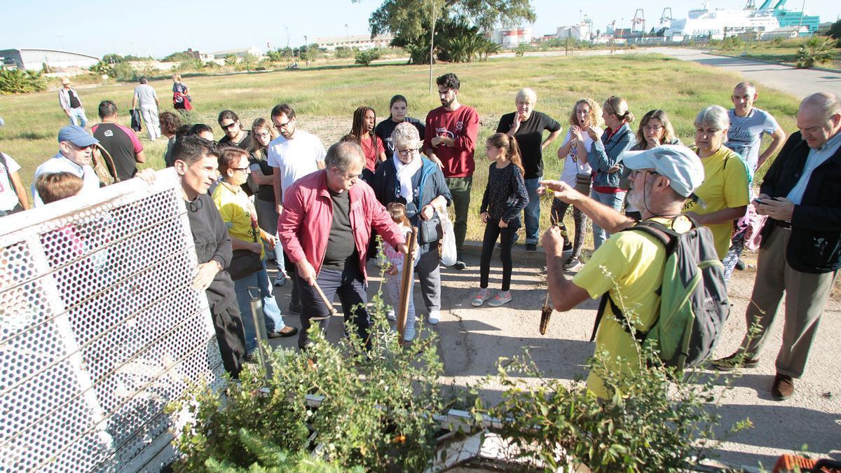 Plantación vecinal de árboles en el futuro Parque de Desembocadura.