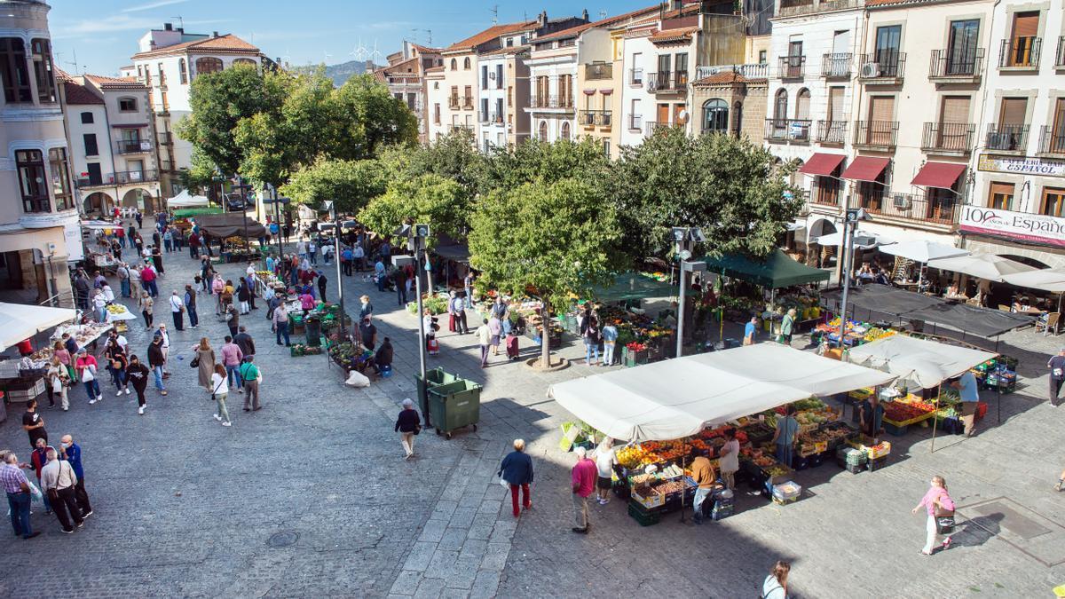 Plasencia reordenará el mercado de los martes en la plaza Mayor con nuevas carpas y cartelería.