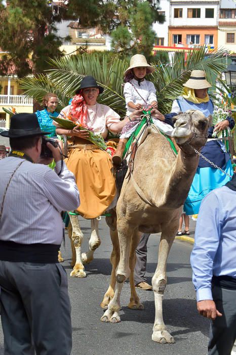 Carretas y grupos en la romería del Pino