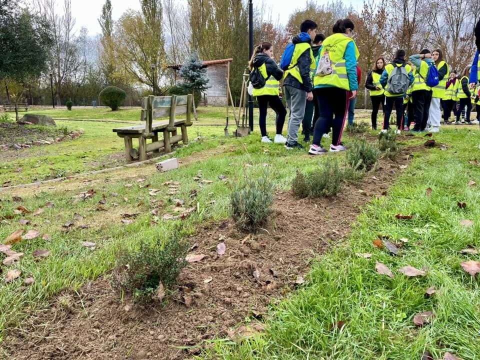 Platación de chopos en la jornada medioambiental el IES Los Sauces de Benavente