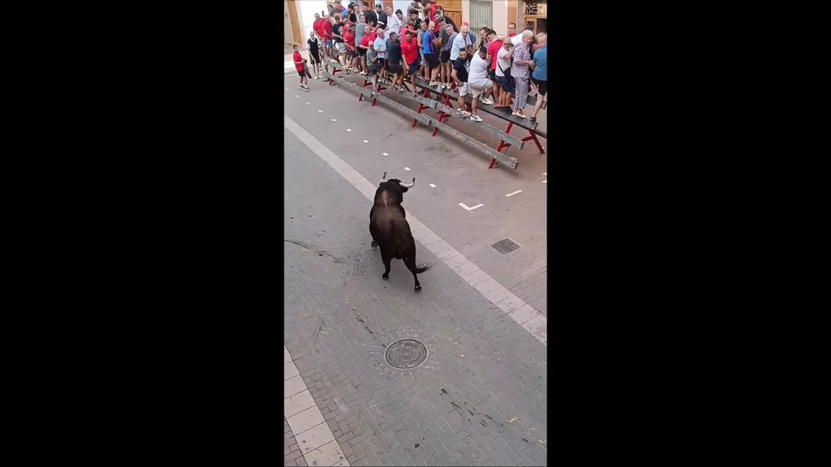 Un toro se lleva por delante un buzón de Correos en Alcàsser