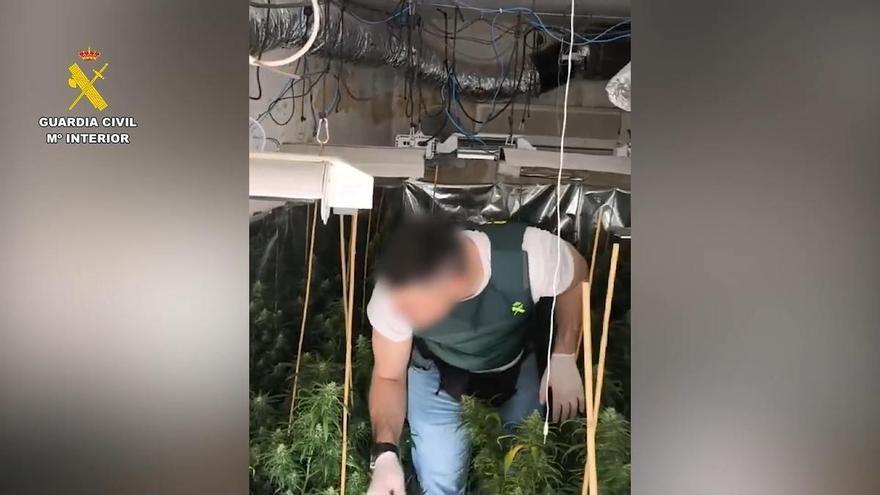 Cae un grupo familiar dedicado al tráfico de drogas en San Vicente