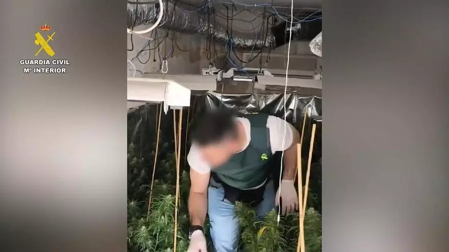 Cae un grupo familiar dedicado al tráfico de drogas en San Vicente